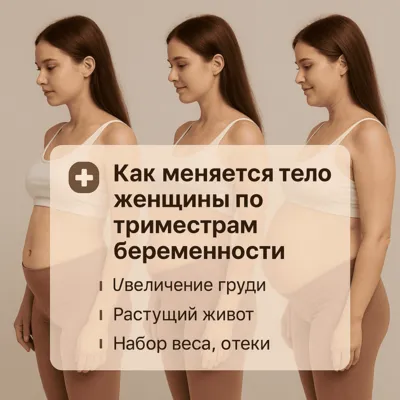 Как меняется тело женщины по триместрам беременности