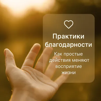 Практики благодарности: как простые действия меняют восприятие жизни